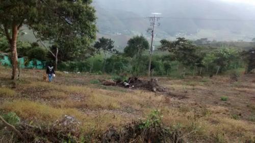 LOTE PARA LA VENTA EN EL QUEREMAL – Vereda Sendo.