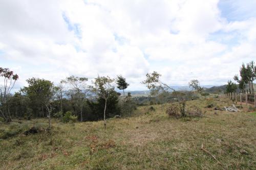 Lote 26.000mts2 Guarne(064)