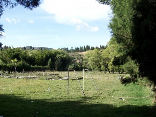 Lote Mixto Guarne(043)