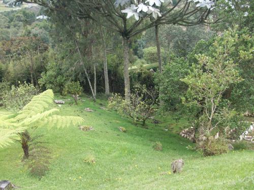 Finca en Unidad cerrada, Guarne