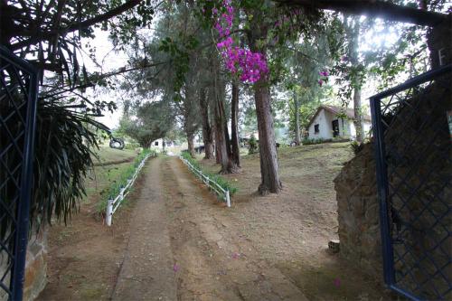 La Mulona-Vereda Montañez(005)