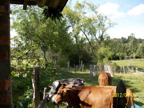 Lote plano Guarne