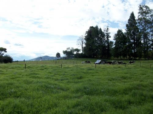  Lote Rionegro las Playas con casa buena(042)