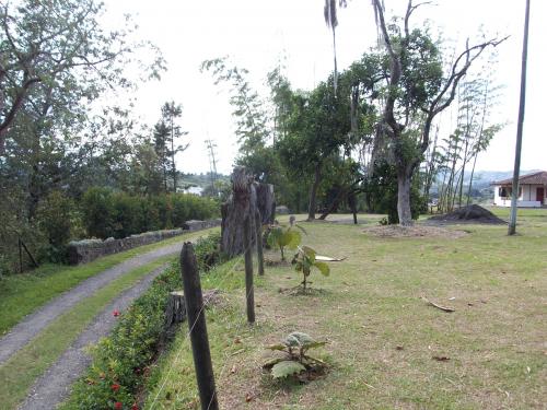Lote Rionegro las Playas con casa buena(042)