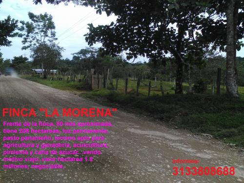 FINCA A 10 MINUTOS DE PUERTO ASIS...VENDO POR VIAJE 1.8MLLS HECTAREA