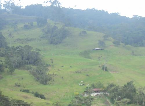 Venta de Finca en el Municipio de Tulua Corregimiento Santa Lucia