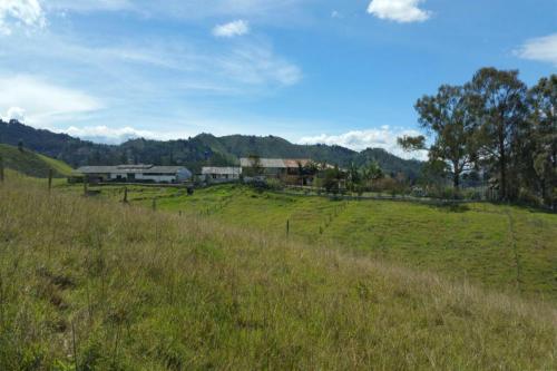 Finca Ubicada en la vereda La Hondita.