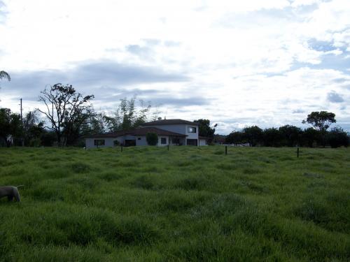 Lote Mixto Guarne