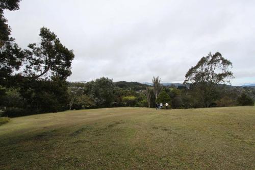 Lote Palmas