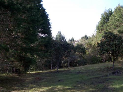 Lote en Guarne de 50.000 mts2