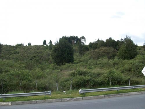Lote  por el Rancherito (Guarne)