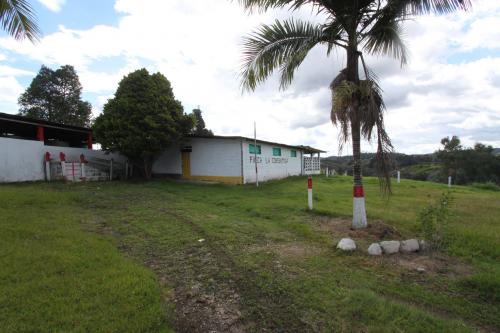 Finca en San Vicente 55.000 mt2