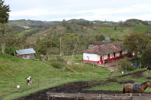Finca en San Vicente de 15 cuadras