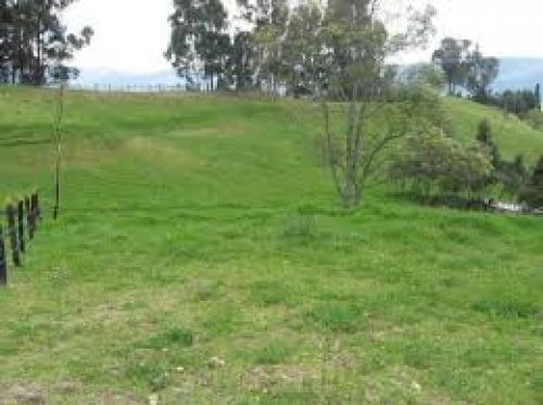 Lote en Barbosa