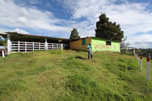 Finca en San Vicente 55.000 mt2