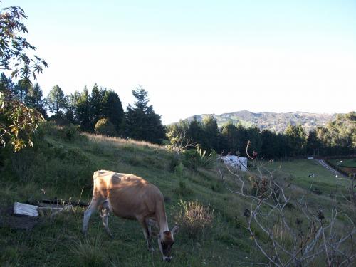 Vendo Lote en Guarne