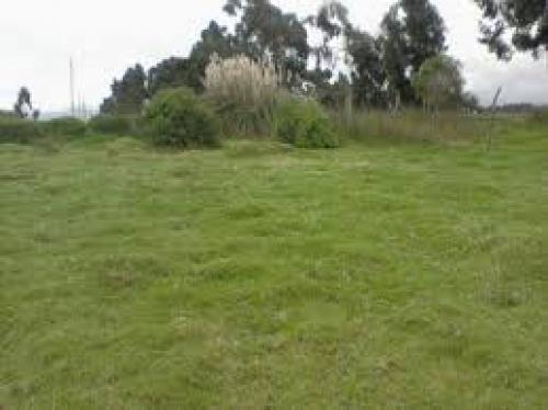 Lote en Barbosa