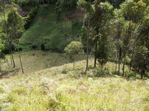 Lote cerca al Pueblo de Guarne