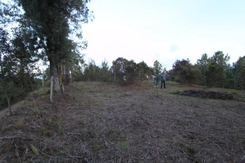 Lotes en Guarne, (Piedras blancas)
