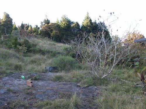 Vendo Lote en Guarne