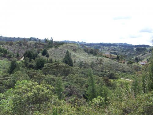 Lote industrial Guarne75.200 mts2
