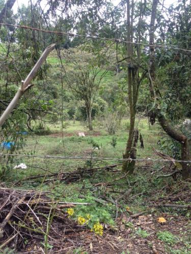 Lote Comercial en Guarne 