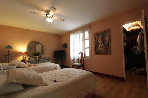 Casa en la Castellana 