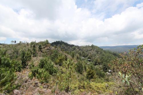 Lote por el Parque Arví
