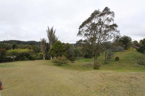 Lote Palmas