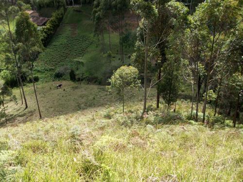 Lote cerca al Pueblo de Guarne