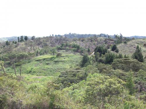 Lote industrial Guarne75.200 mts2