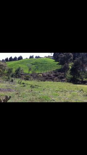 Lote Comercial en Guarne 