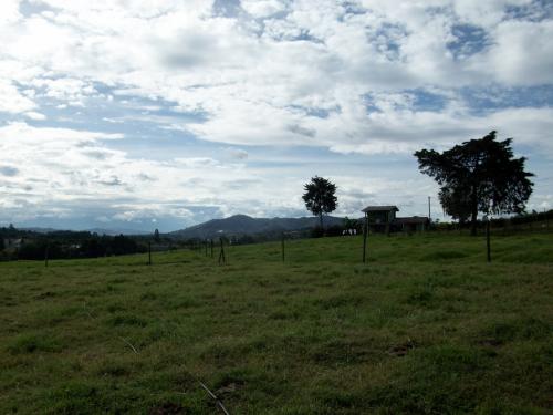 Lote Mixto Guarne