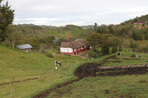 Finca en San Vicente de 15 cuadras