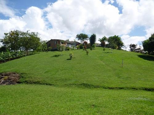 Vendo finca de recreo via a Viterbo