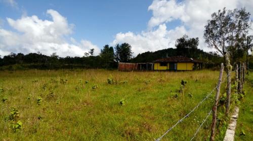 Hermoso Lote en urbanización (Concepción)