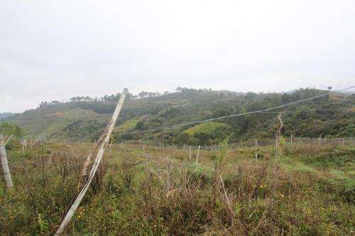 Lote en Guarne Vereda el Yarumo