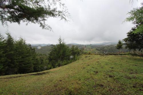 Lote en Guarne vereda la Henea