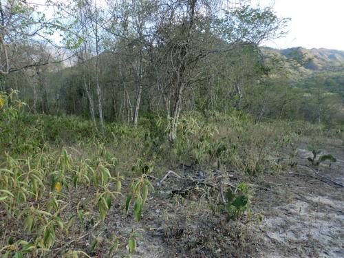 Lote 7.231 mts2 Santa Fe de Antioquia