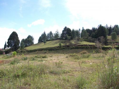 Lote a 150mts de la entrada a Guarne