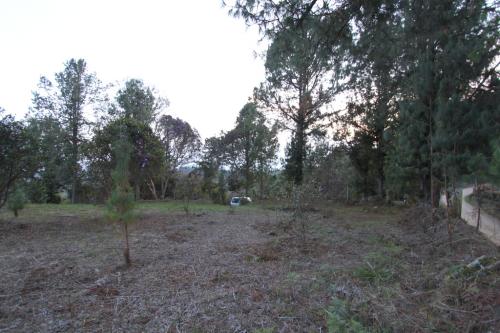 Lotes en Guarne, (Piedras blancas)