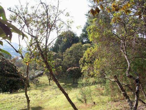 Lote en Guarne de 50.000 mts2