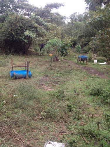Lote Comercial en Guarne 