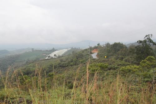 Lote en la vereda el Yarumo (Guarne)