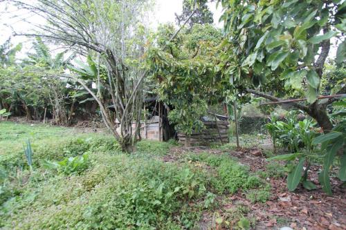 Lote en zona industrial 