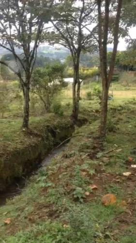 Lote Comercial en Guarne 