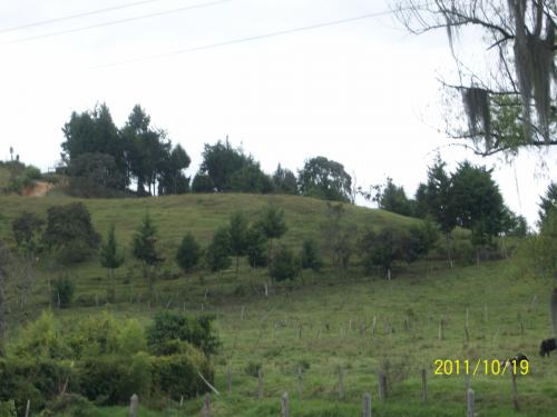 Vía Rionegro Guarne
