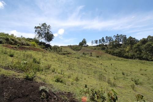 Lote en Guarne