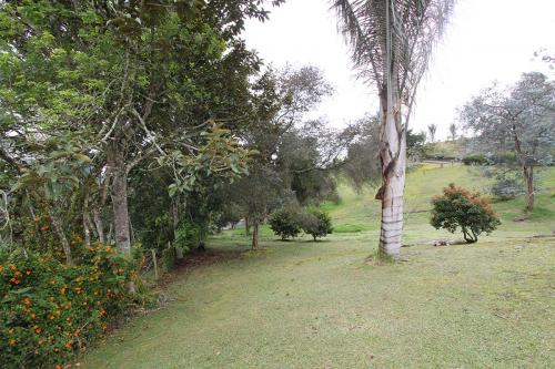 Lote Palmas