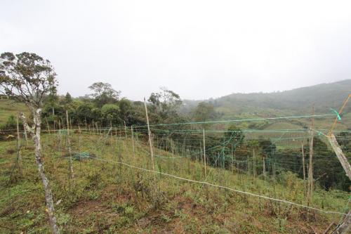 Lote en venta Guarne vereda la Henea
